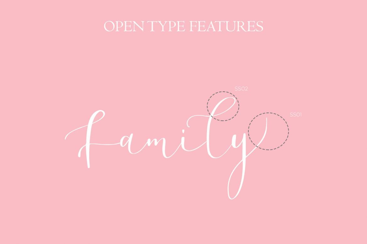 Ronhilli Script - view 8