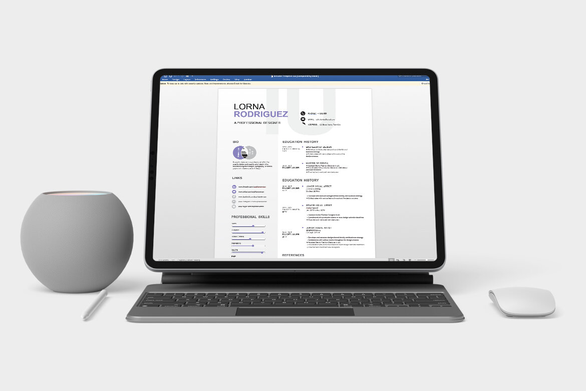 Minimalist FREE Resume CV - view 3