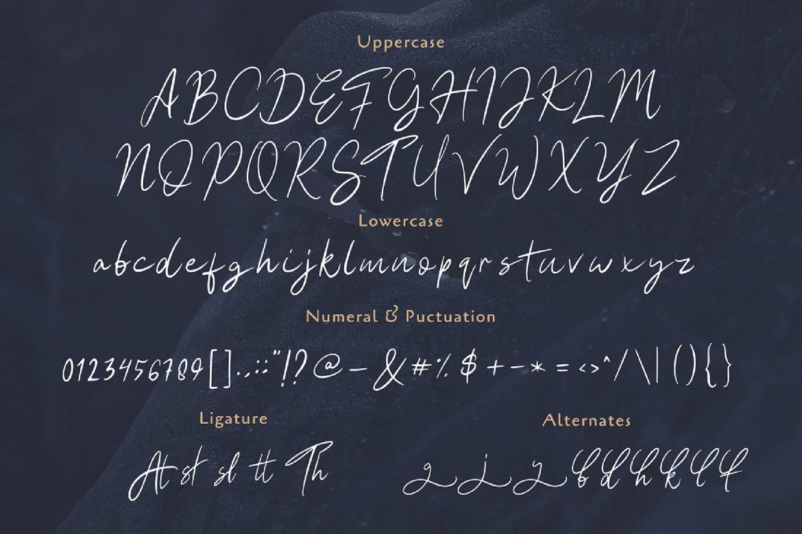 Hesgaki - Luxury Signature Font - view 4