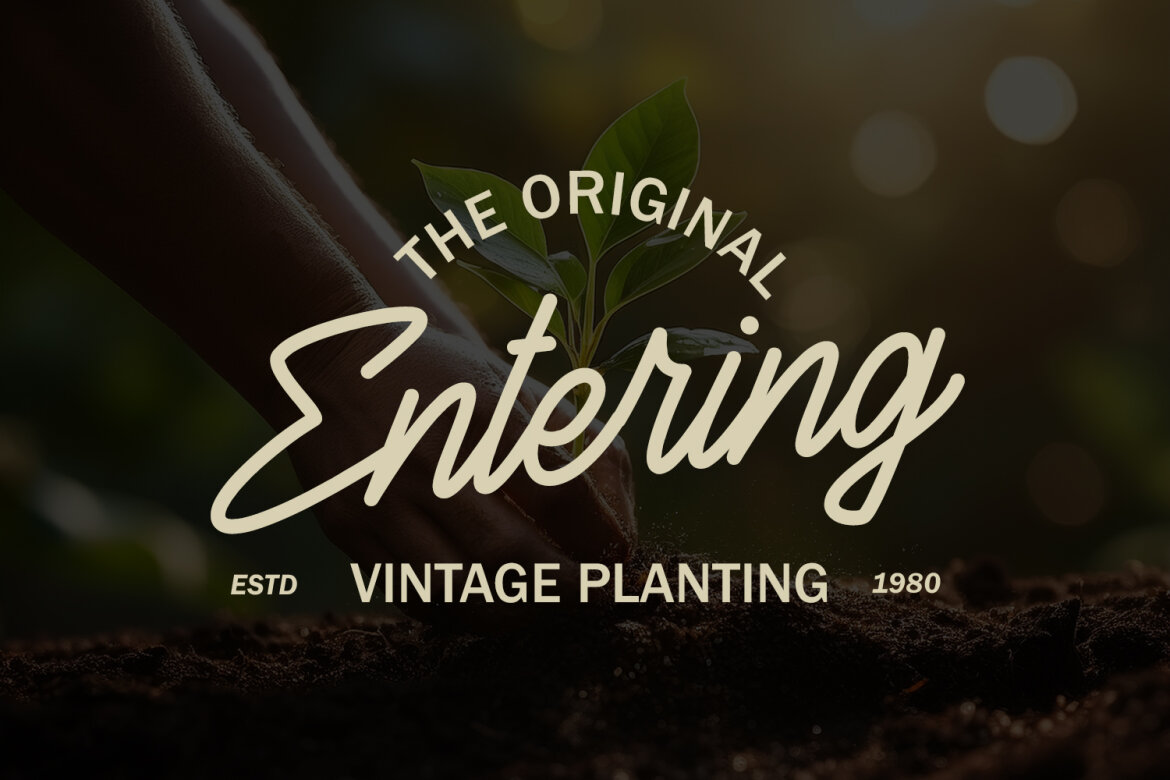 Rosmund Monoline FREE Script Font - view 3