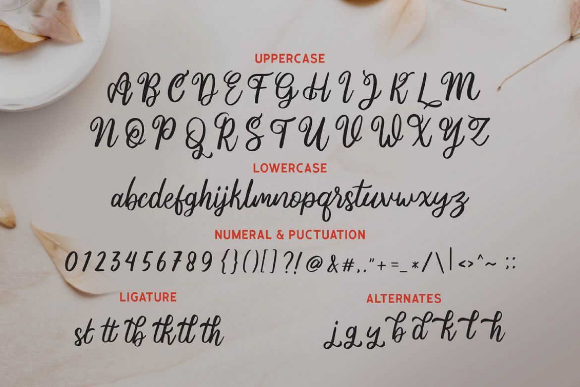 Ania Gamelia - Handlettering Script Font - view 4
