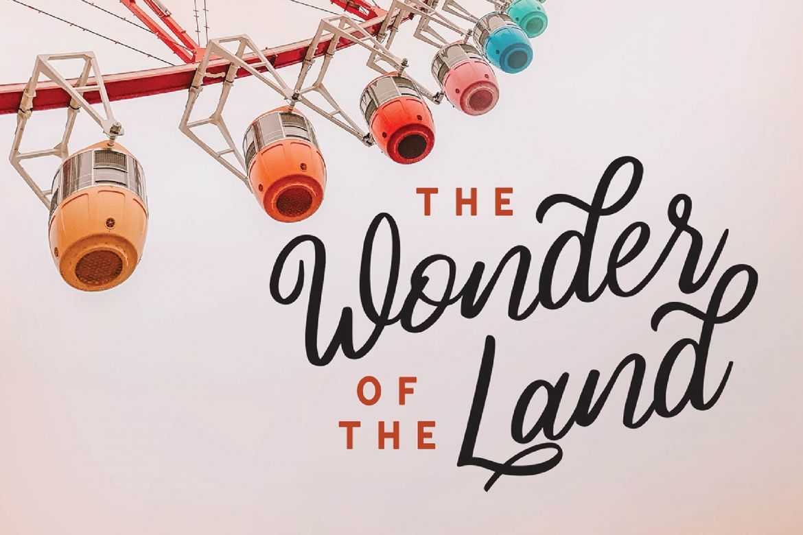 Ania Gamelia - Handlettering Script Font - view 5