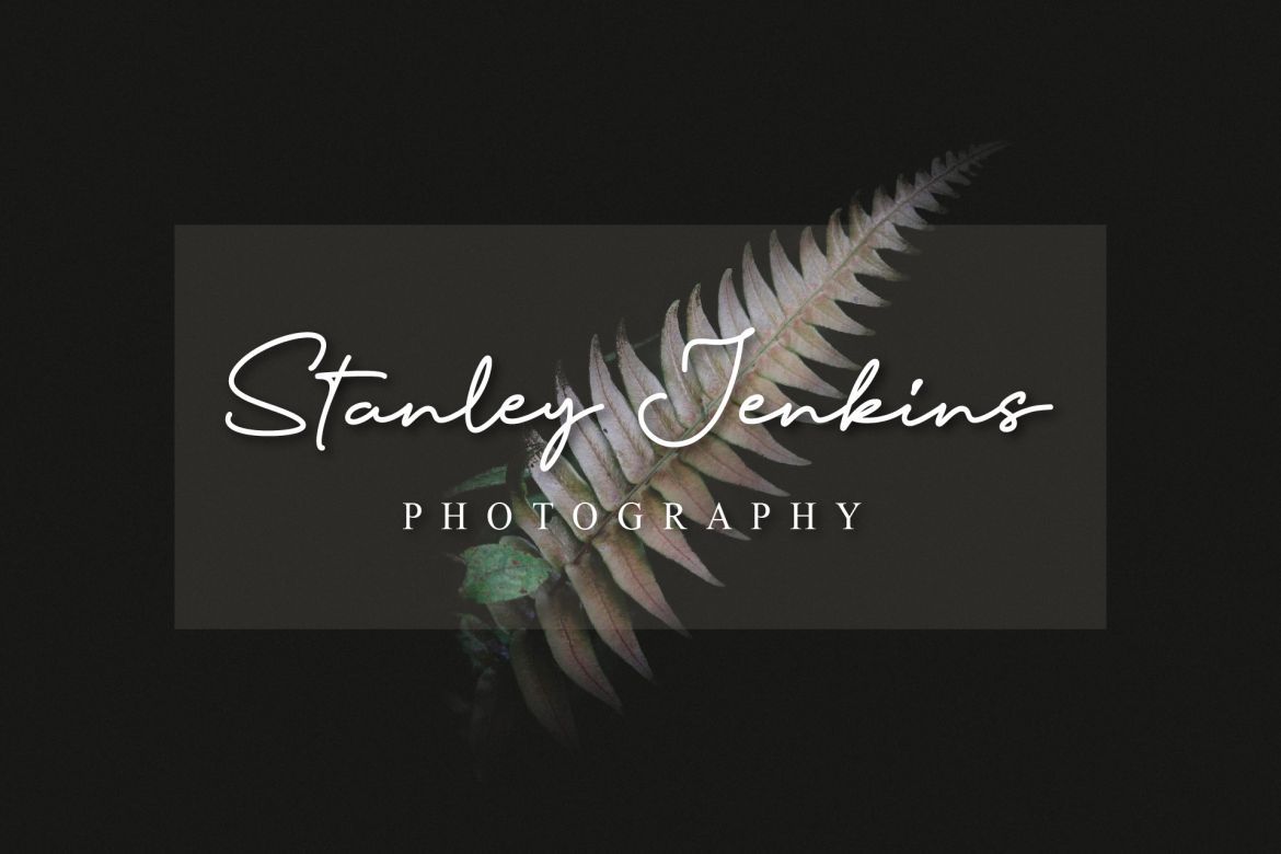 Pottoray - Signature Font - view 3