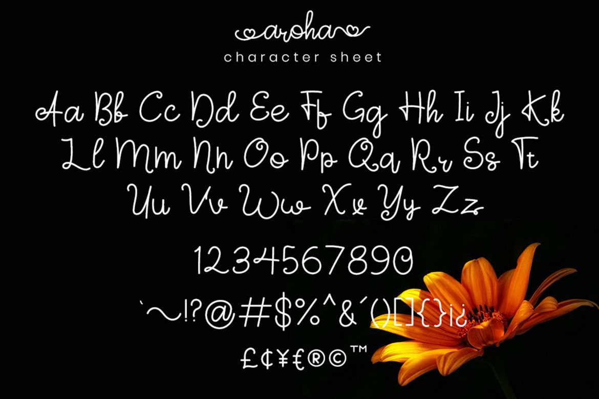 Aroha Script - view 5