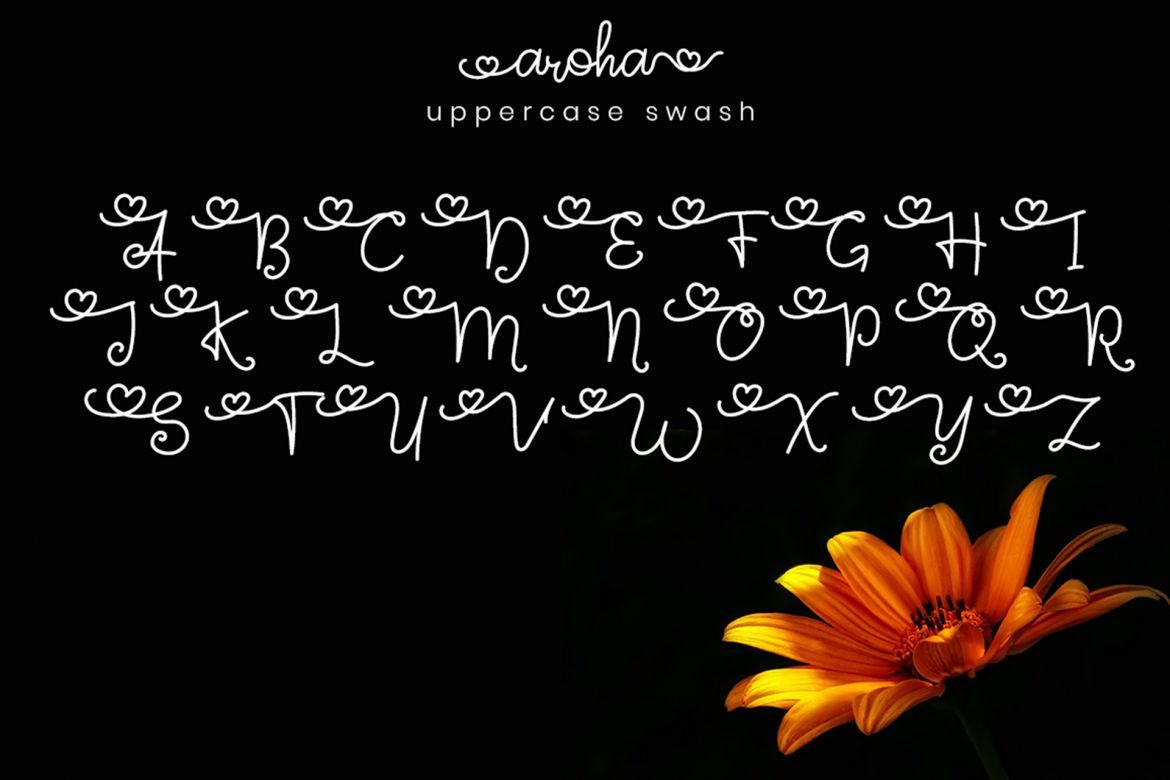 Aroha Script - view 6