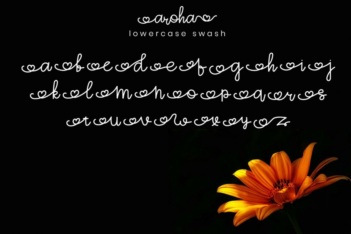 Aroha Script - view 7