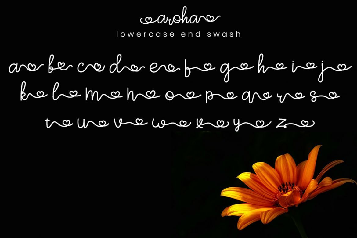 Aroha Script - view 8