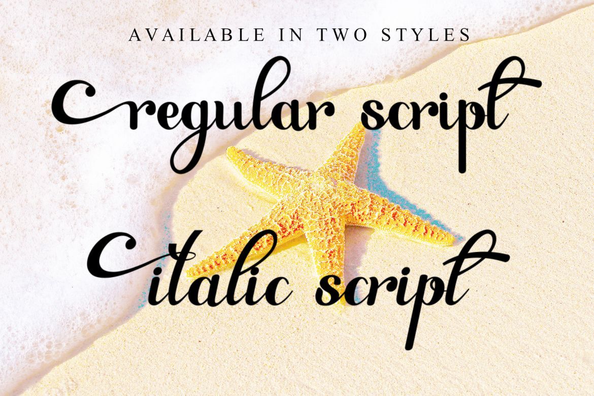 Paulo Pacito - view 3