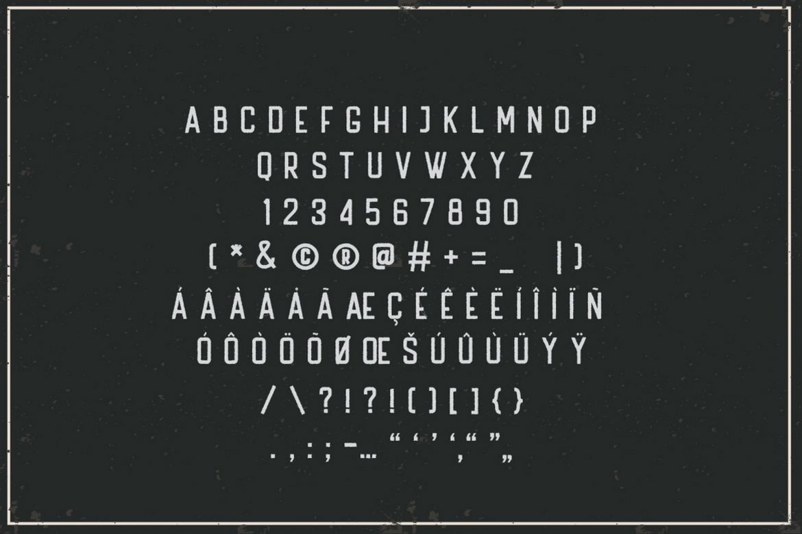 Handler - Vintage Sans Serif - view 8