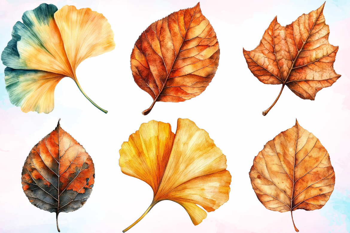 Watercolor Fall Leaf FREE Clipart Bundle alternate