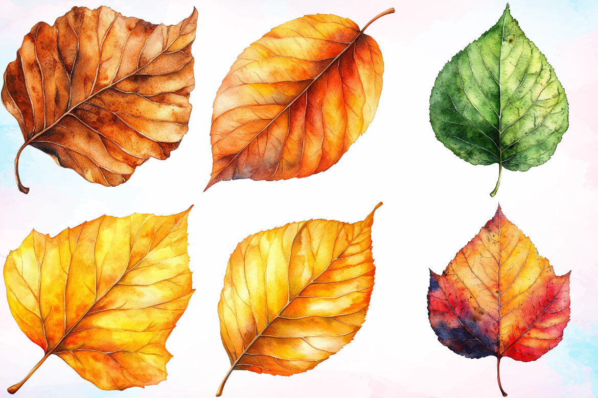 Watercolor Fall Leaf FREE Clipart Bundle alternate