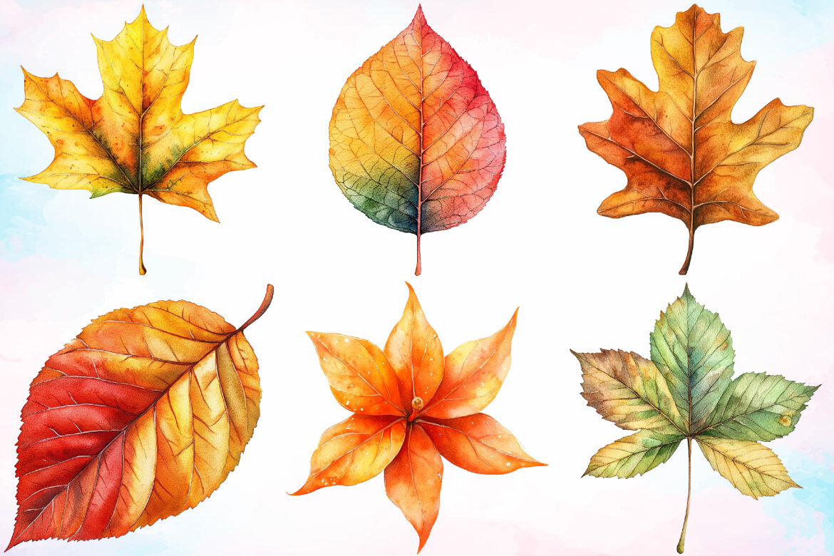 Watercolor Fall Leaf FREE Clipart Bundle - view 3