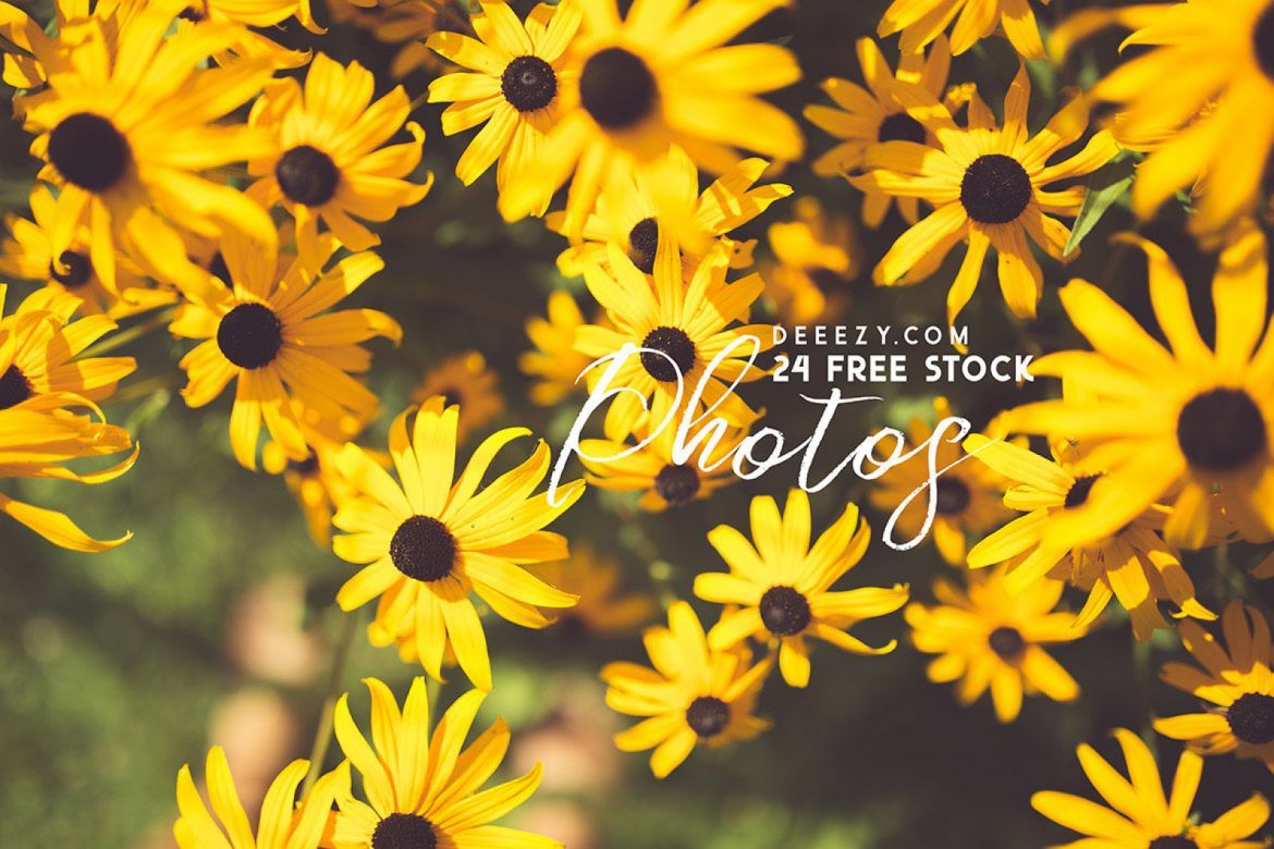 Happy New Year 2020 Gift from Deeezy - view 28