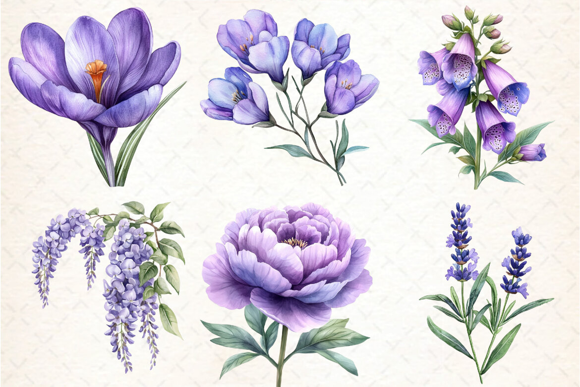 Purple Flowers FREE Watercolor Clipart - view 3