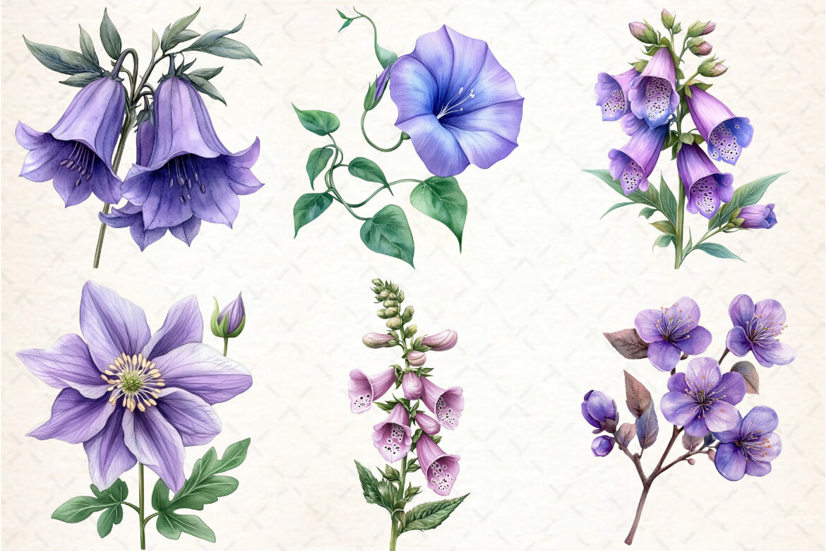Purple Flowers FREE Watercolor Clipart - view 4