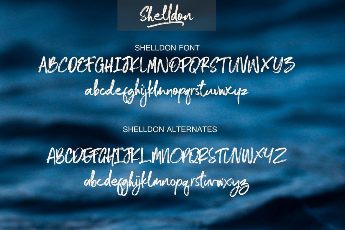 Shelldon Font - view 7