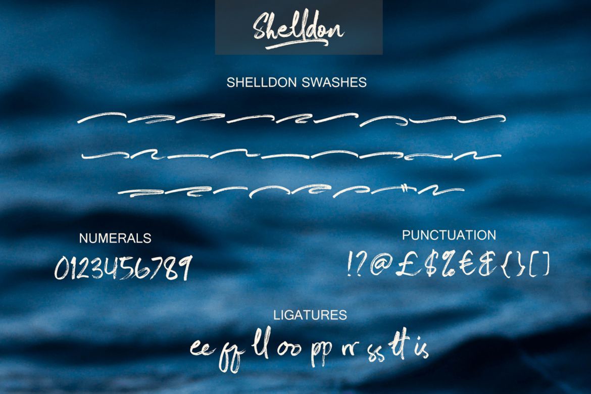 Shelldon Font - view 8