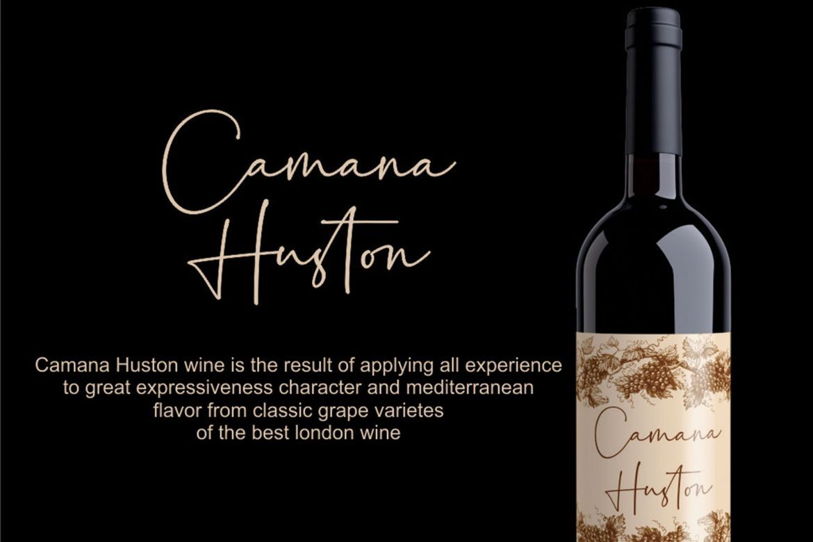 Palmaton Script - view 4