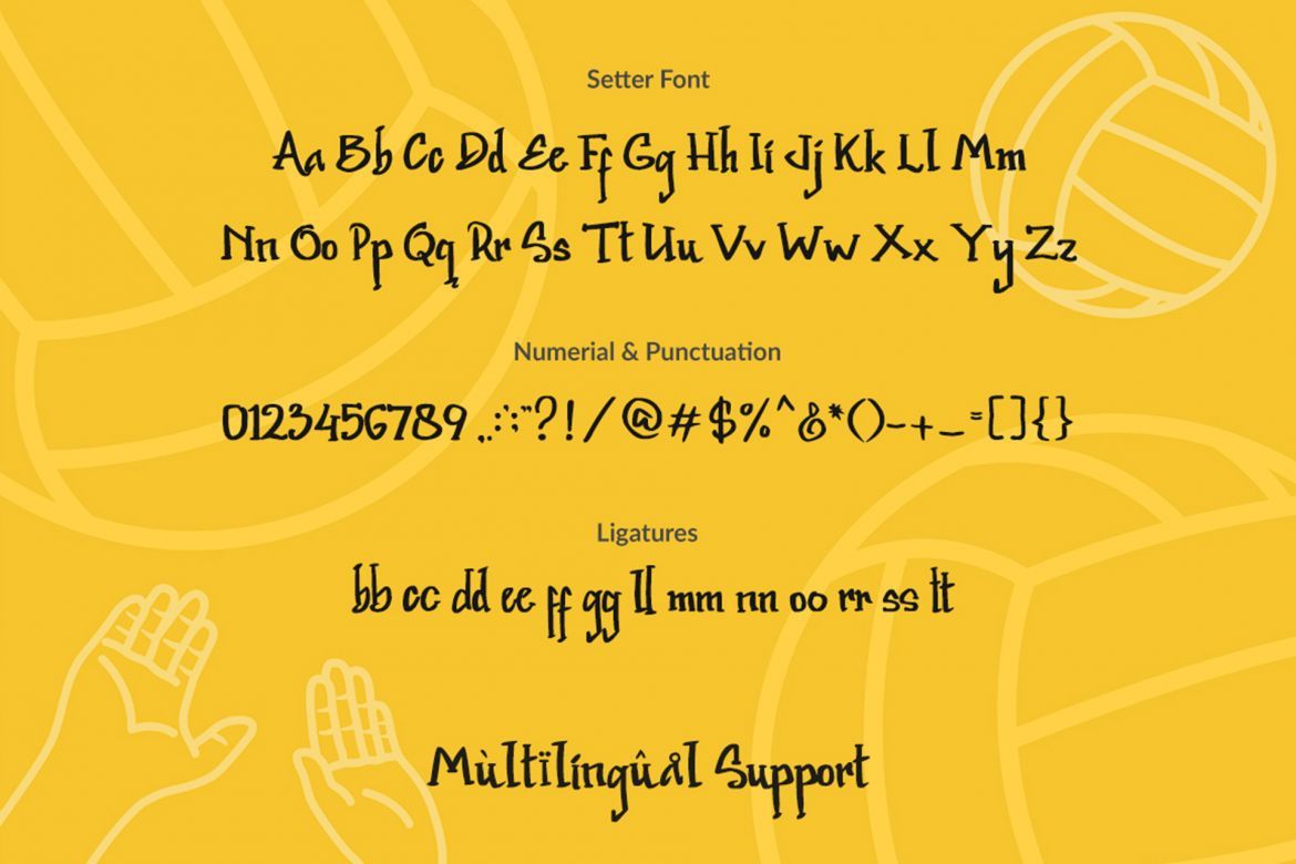 Setter Font alternate