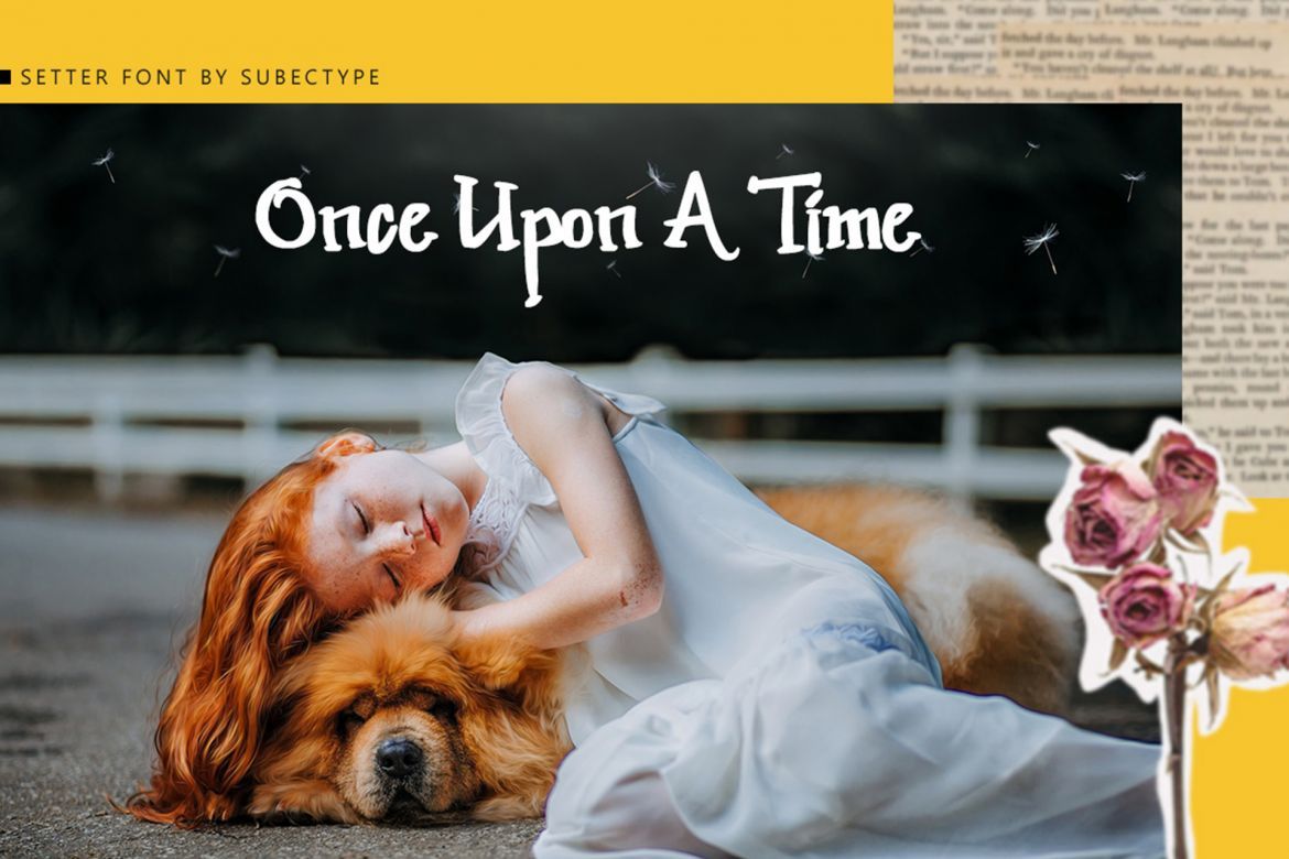 Setter Font - view 9