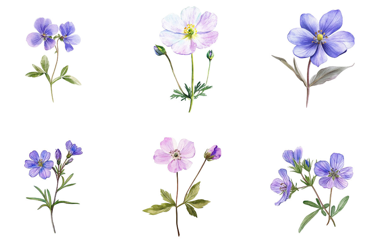 Spring Wild Flower FREE Clipart - view 3