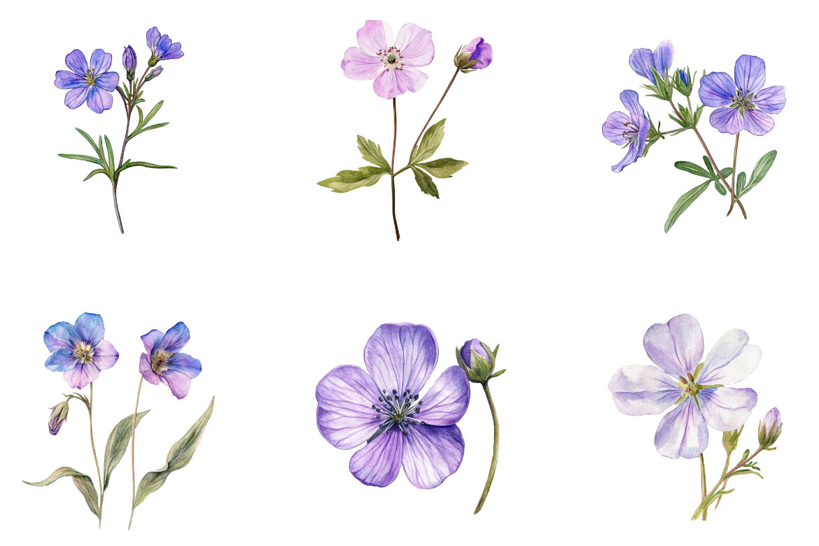 Spring Wild Flower FREE Clipart alternate