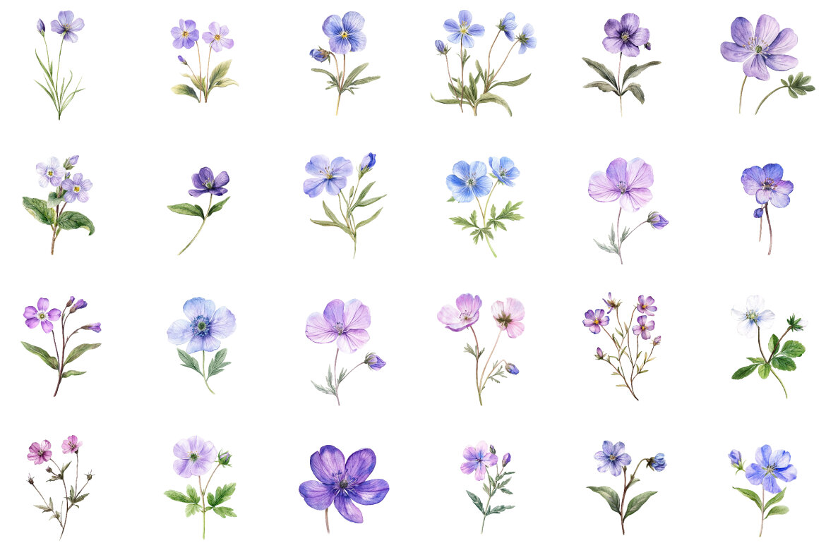 Spring Wild Flower FREE Clipart alternate