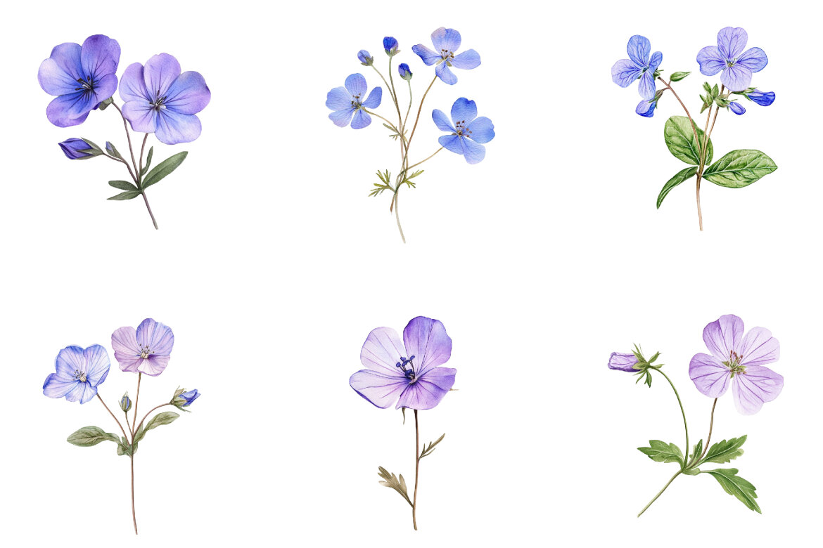 Spring Wild Flower FREE Clipart alternate