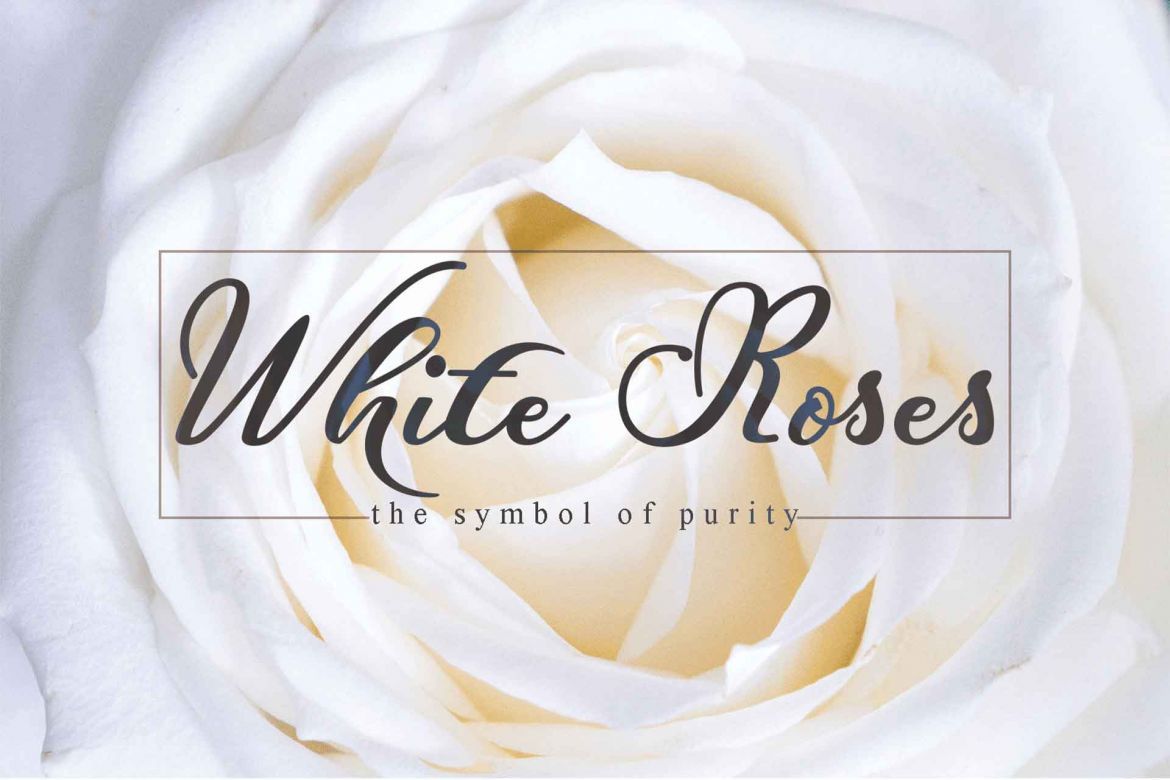 Hunkydory Script - view 3