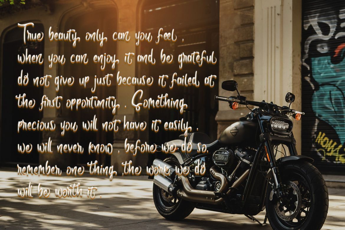 Butterfly Script - view 4