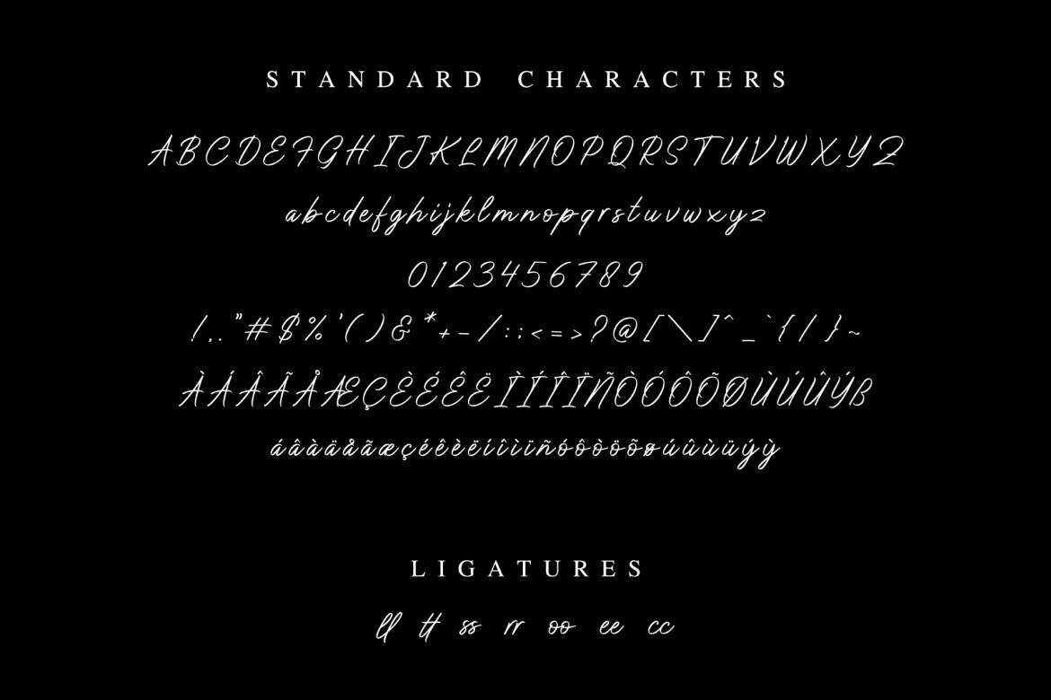 Don Carlitto - Elegant Signature Font - view 5