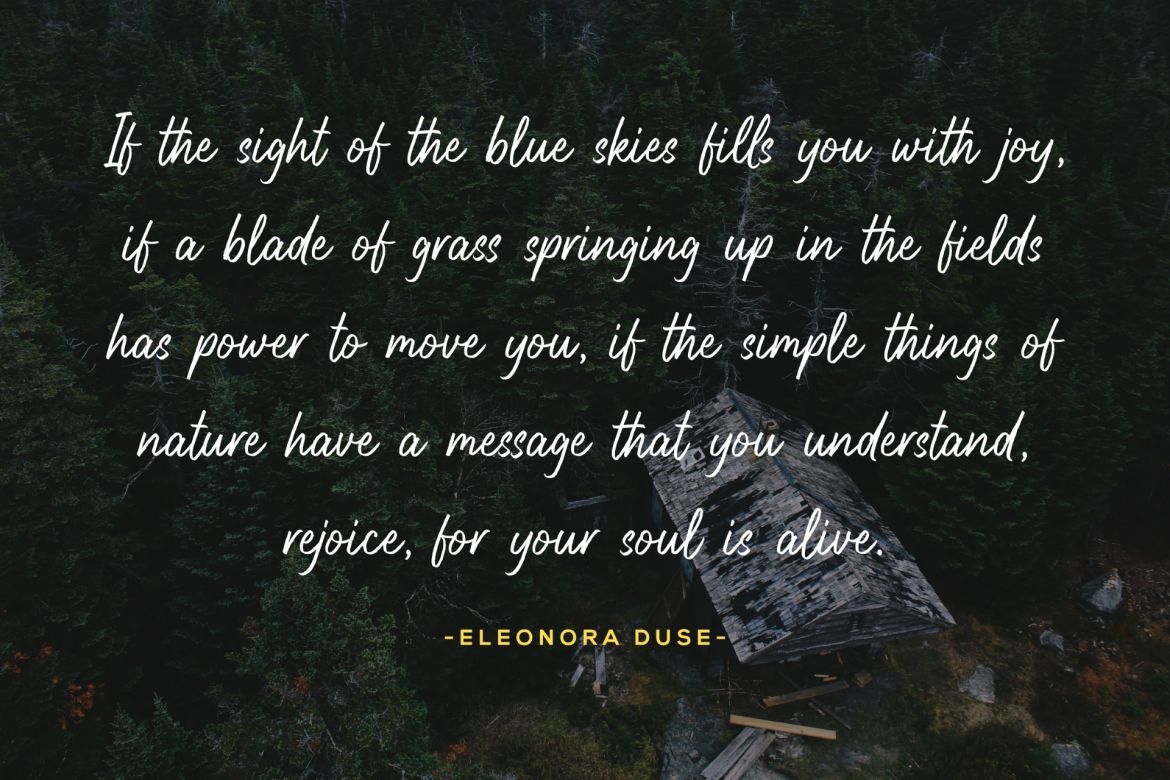 Highnorth - Handmade Marker Font - view 4