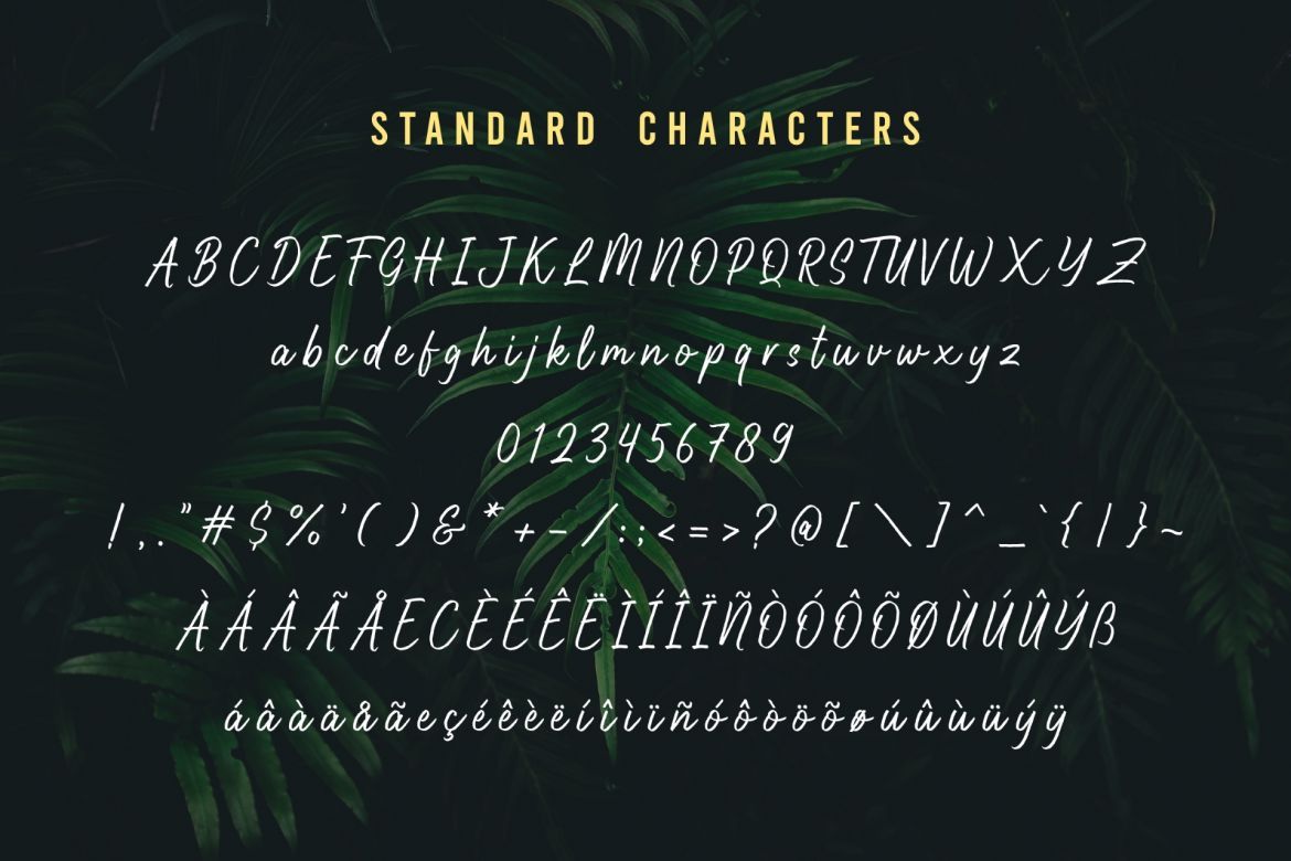 Highnorth - Handmade Marker Font - view 6