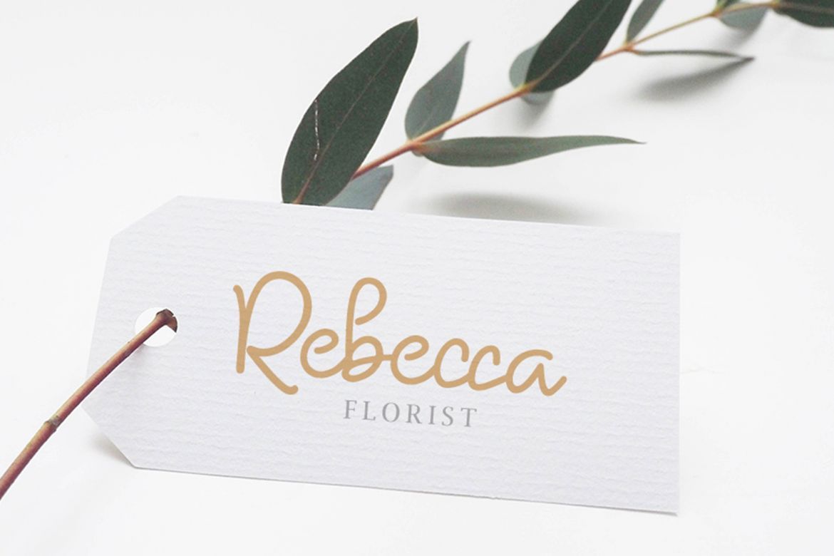 Butterland Monoline Script Font - view 2