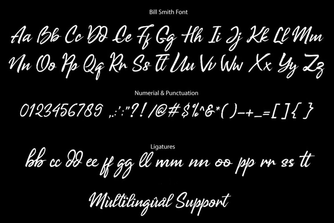 Bill Smith Handwritten Font - view 10