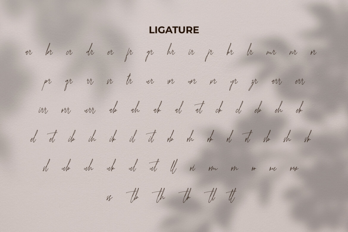 Kiona Rosebelle FREE Font alternate