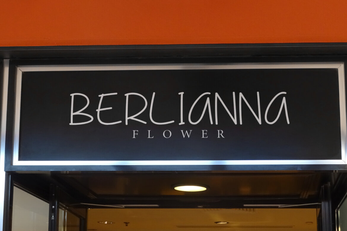 Just Beginning - view 2