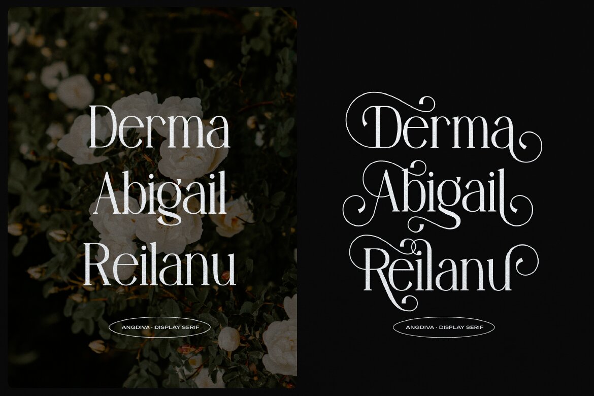 Angdiva | Display Serif Font - view 6