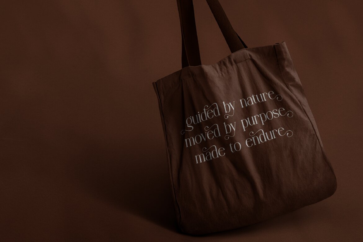 Angdiva | Display Serif Font - view 9