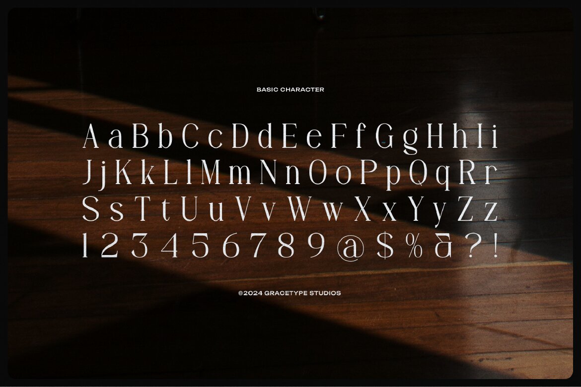 Angdiva | Display Serif Font - view 10