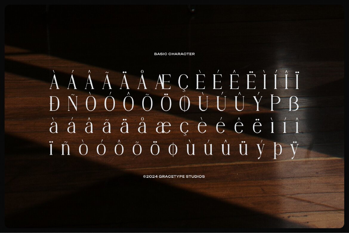 Angdiva | Display Serif Font - view 11