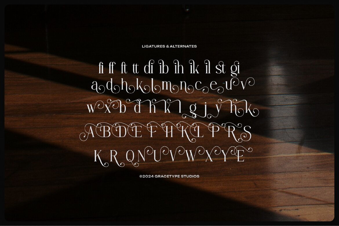 Angdiva | Display Serif Font - view 12
