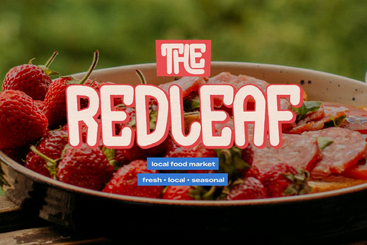 Mega Champs | Playful Display - view 6