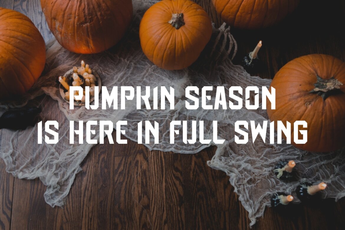 Spooky Pumpkin - FREE Font - view 3