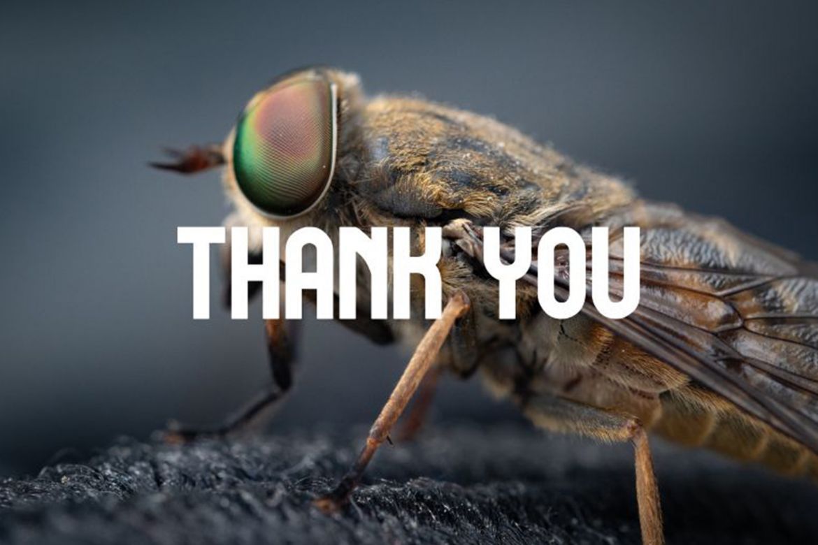 GREAT BOLD FREE Font - view 6