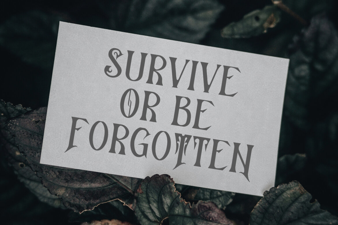 Qlastroy Blackletter FREE Font - view 3