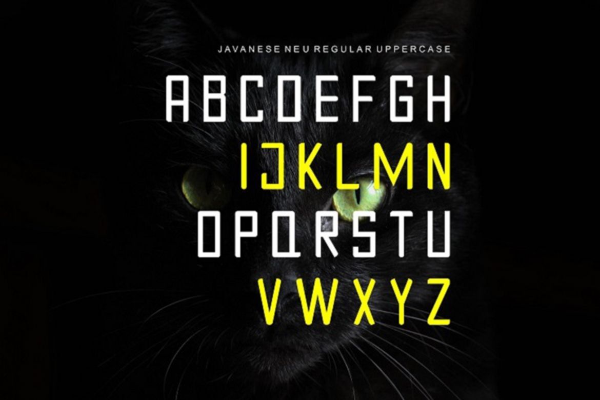 JAVANESE NUE Font - view 2