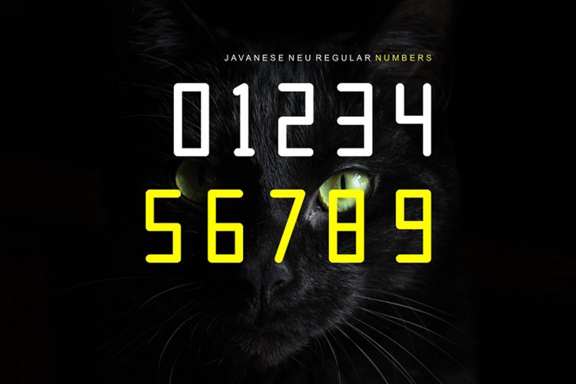 JAVANESE NUE Font - view 4