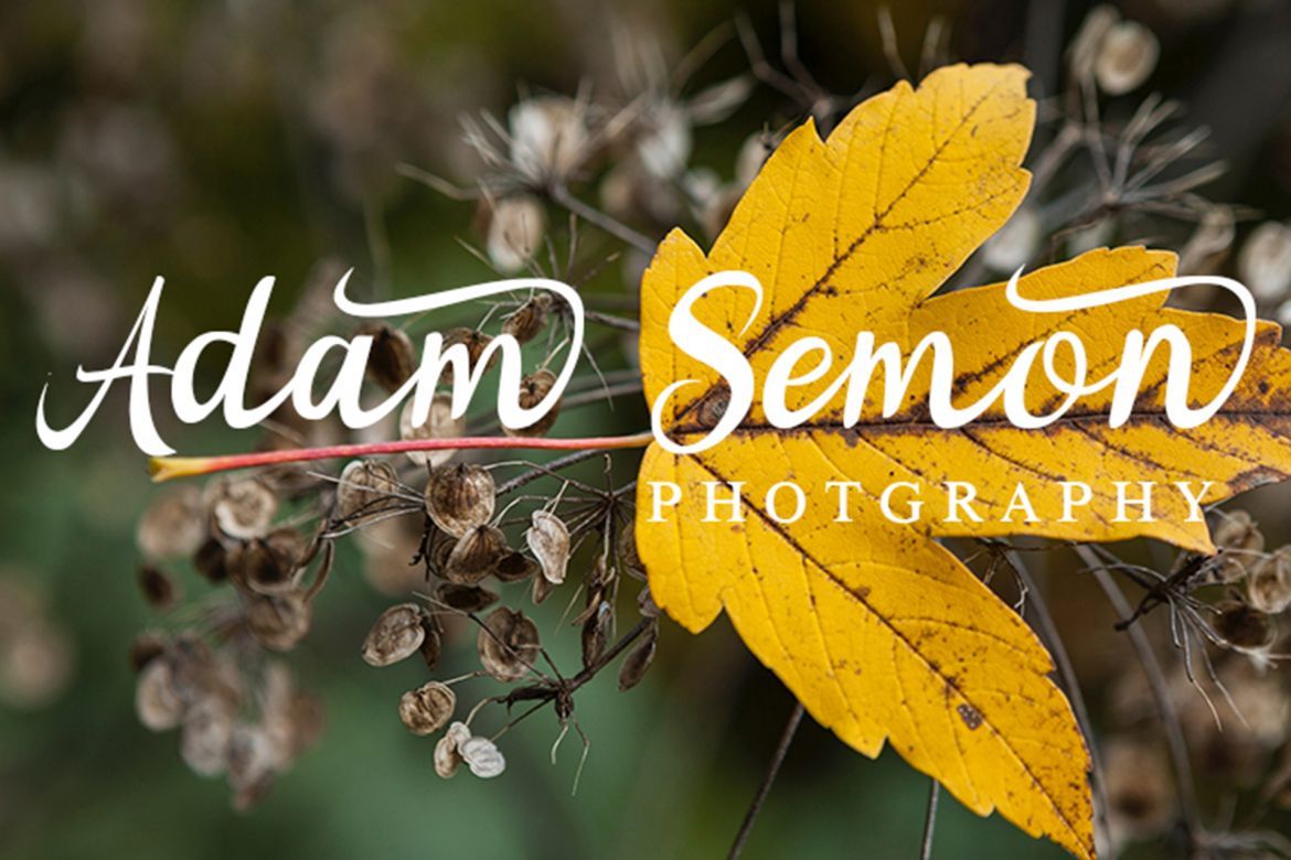 Noorlyta Script - view 6