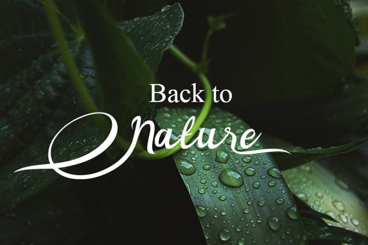 Noorlyta Script - view 8